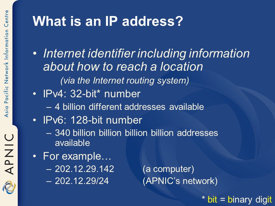 What is an IP address.