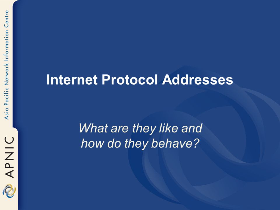 Internet Protocol Addresses What are they like and how do they behave