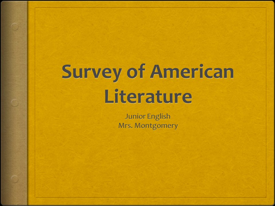Essay About Literature