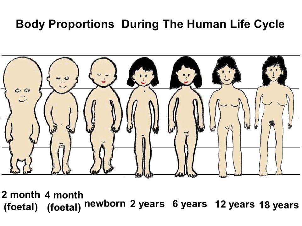 human life span and growth development (3 credit hours) (aa) prerequisites: psy 2012 with a grade of “c” or better this course is a study of human growth and development from birth through adulthood in an effort to describe and explain changes in human behavior across the years of the life span. human life span and growth development (3 credit hours) (aa) prerequisites: psy 2012 with a grade of “c” or better this course is a study of human growth and development from birth through adulthood in an effort to describe and explain changes in human behavior across the years of the life span.