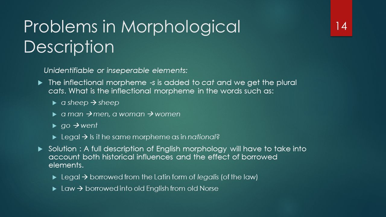 inflectional morpheme inflectional morpheme
