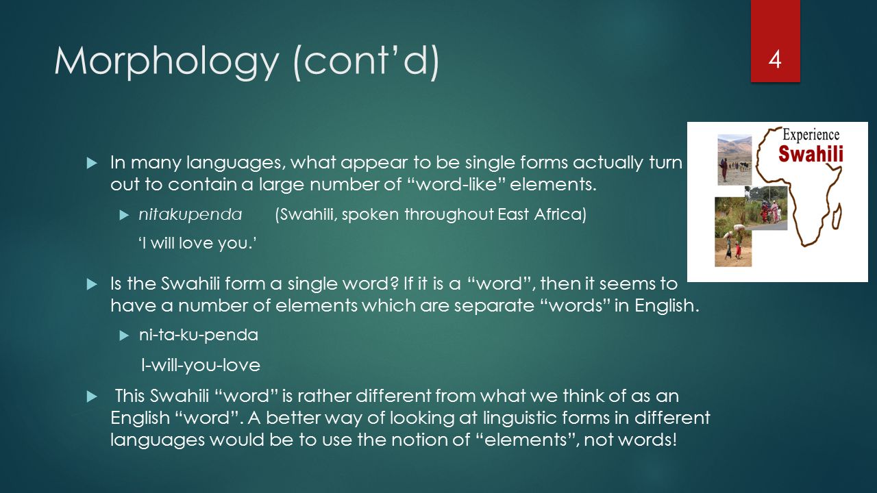 Morphology Contd Ef B In Many Languages What Appear To Be Single Morphology Contd Ef B In Many Languages What Appear To Be Single