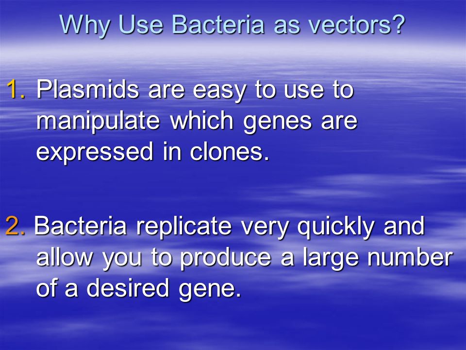 Why Use Bacteria as vectors.