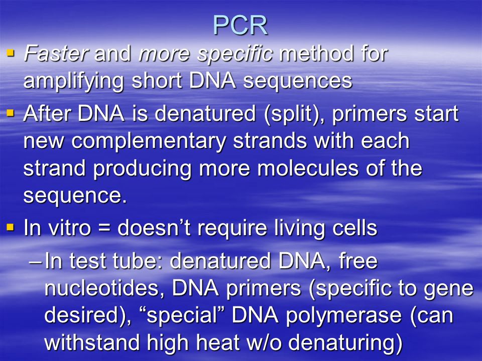 PCR  Faster and more specific method for amplifying short DNA sequences  After DNA is denatured (split), primers start new complementary strands with each strand producing more molecules of the sequence.