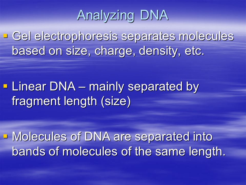 Analyzing DNA  Gel electrophoresis separates molecules based on size, charge, density, etc.