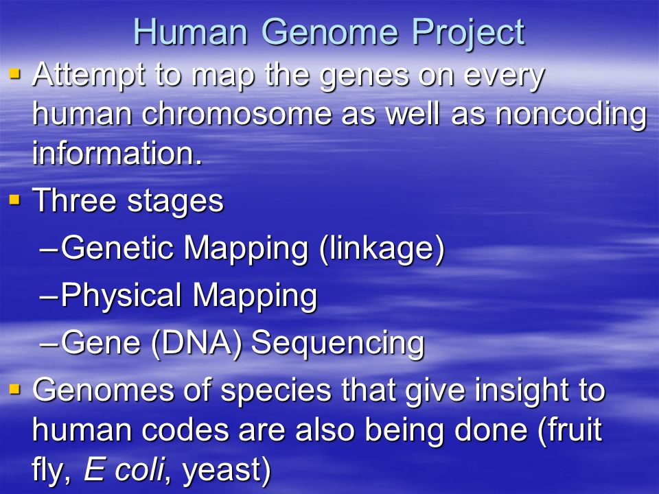 Human Genome Project  Attempt to map the genes on every human chromosome as well as noncoding information.