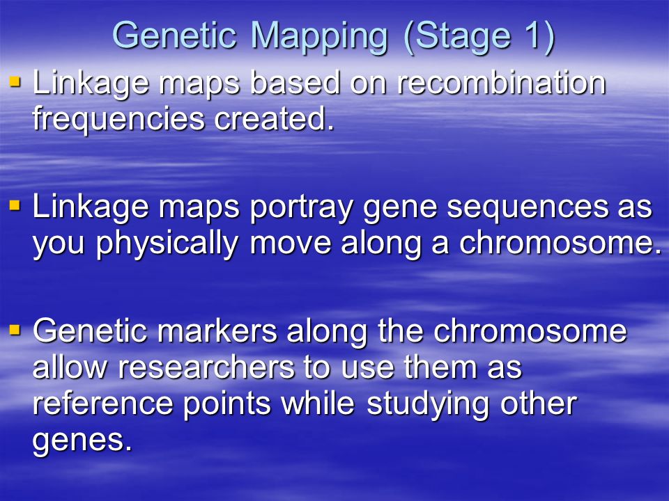 Genetic Mapping (Stage 1)  Linkage maps based on recombination frequencies created.