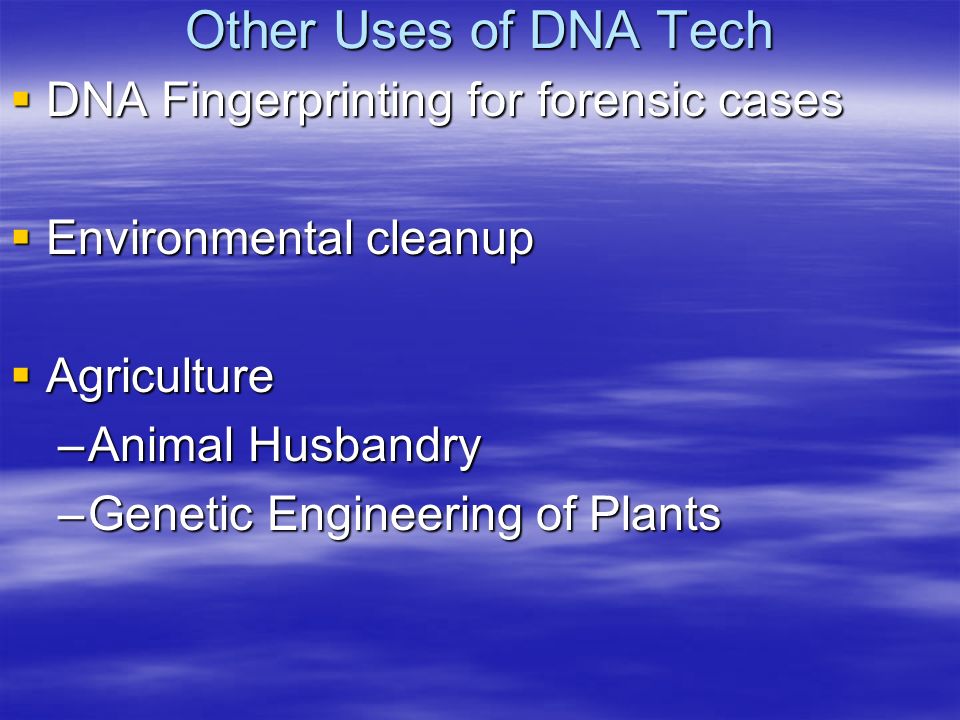 Other Uses of DNA Tech  DNA Fingerprinting for forensic cases  Environmental cleanup  Agriculture –Animal Husbandry –Genetic Engineering of Plants