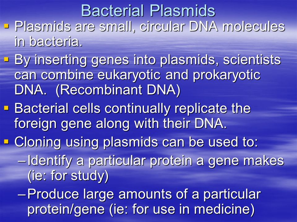 Bacterial Plasmids  Plasmids are small, circular DNA molecules in bacteria.