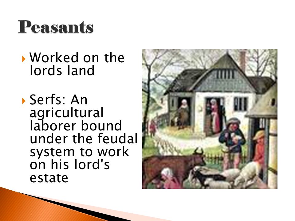  Worked on the lords land  Serfs: An agricultural laborer bound under the feudal system to work on his lord s estate