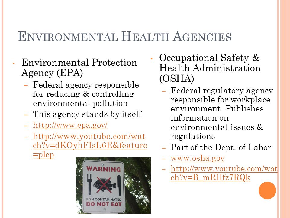 E NVIRONMENTAL H EALTH A GENCIES Environmental Protection Agency (EPA) – Federal agency responsible for reducing & controlling environmental pollution – This agency stands by itself –     –   ch v=dKOyhFIsL6E&feature =plcp   ch v=dKOyhFIsL6E&feature =plcp Occupational Safety & Health Administration (OSHA) – Federal regulatory agency responsible for workplace environment.