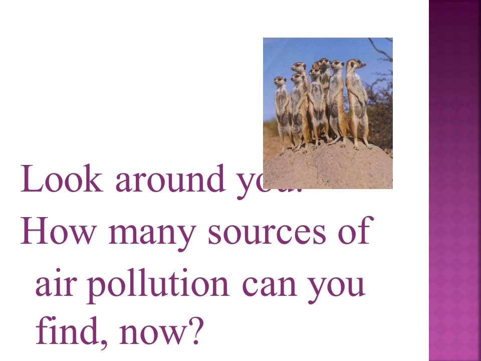 Look around you. How many sources of air pollution can you find, now