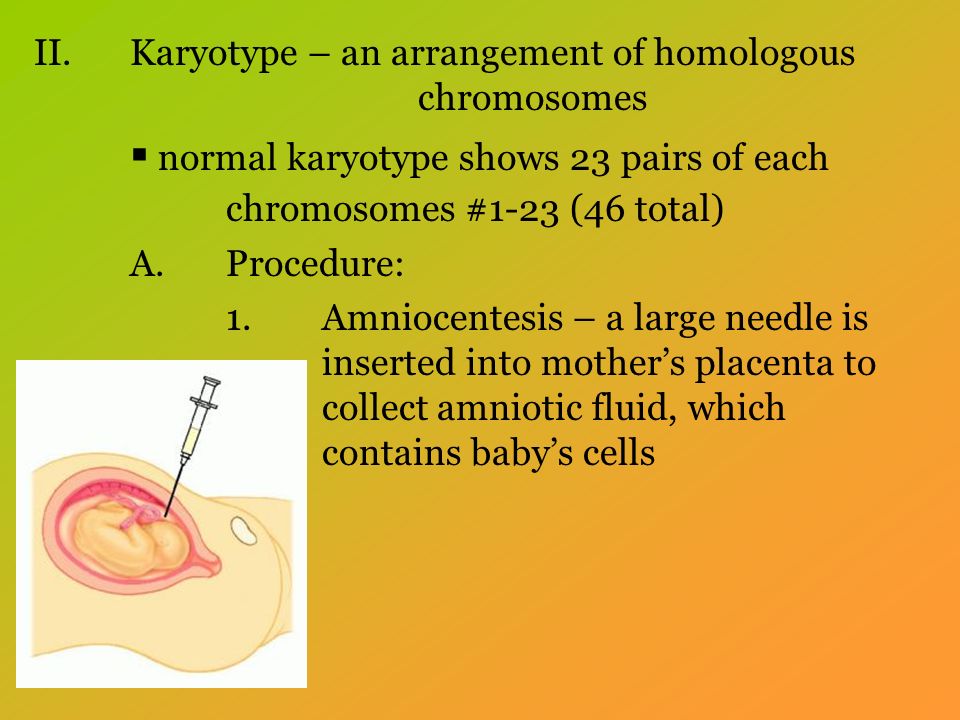 II.Karyotype – an arrangement of homologous chromosomes  normal karyotype shows 23 pairs of each chromosomes #1-23 (46 total) A.Procedure: 1.Amniocentesis – a large needle is inserted into mother’s placenta to collect amniotic fluid, which contains baby’s cells