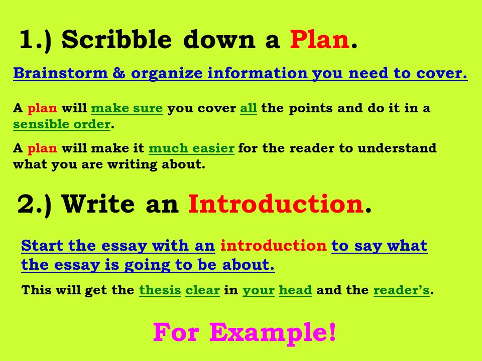 organize information in essay organize information in essay