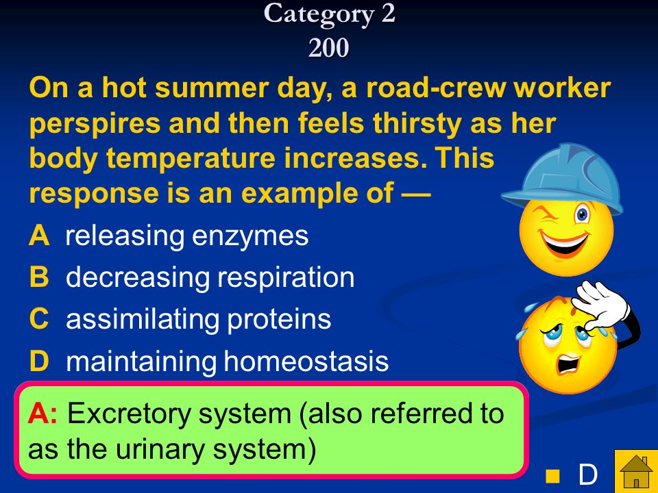 Jeopardy Science Taks Review 2009 Welcome To The First Category 2 100 Based On The Summary Equation Shown Below Which Of Following Is