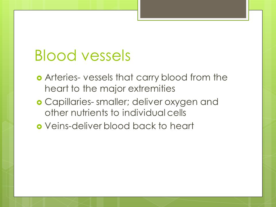 Blood vessels  Arteries- vessels that carry blood from the heart to the major extremities  Capillaries- smaller; deliver oxygen and other nutrients to individual cells  Veins-deliver blood back to heart