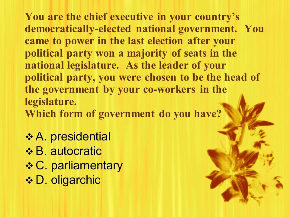 You are the chief executive in your country’s democratically-elected national government.