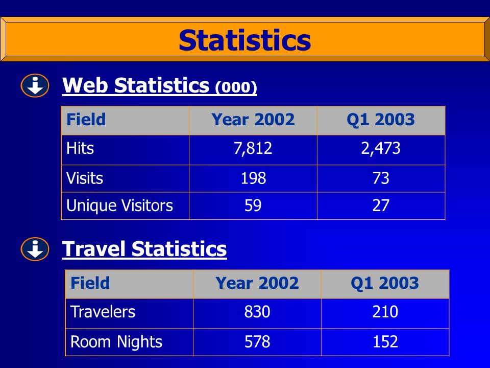 Statistics FieldYear 2002Q Hits7,8122,473 Visits19873 Unique Visitors5927 Web Statistics (000) Travel Statistics FieldYear 2002Q Travelers Room Nights578152