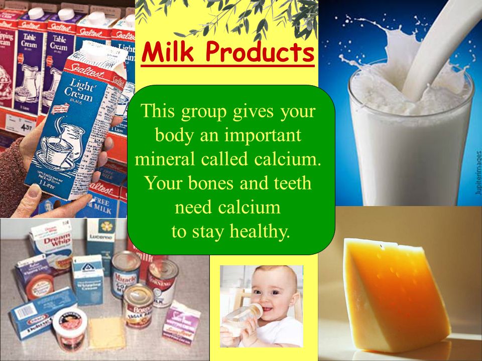 Milk Products This group gives your body an important mineral called calcium.