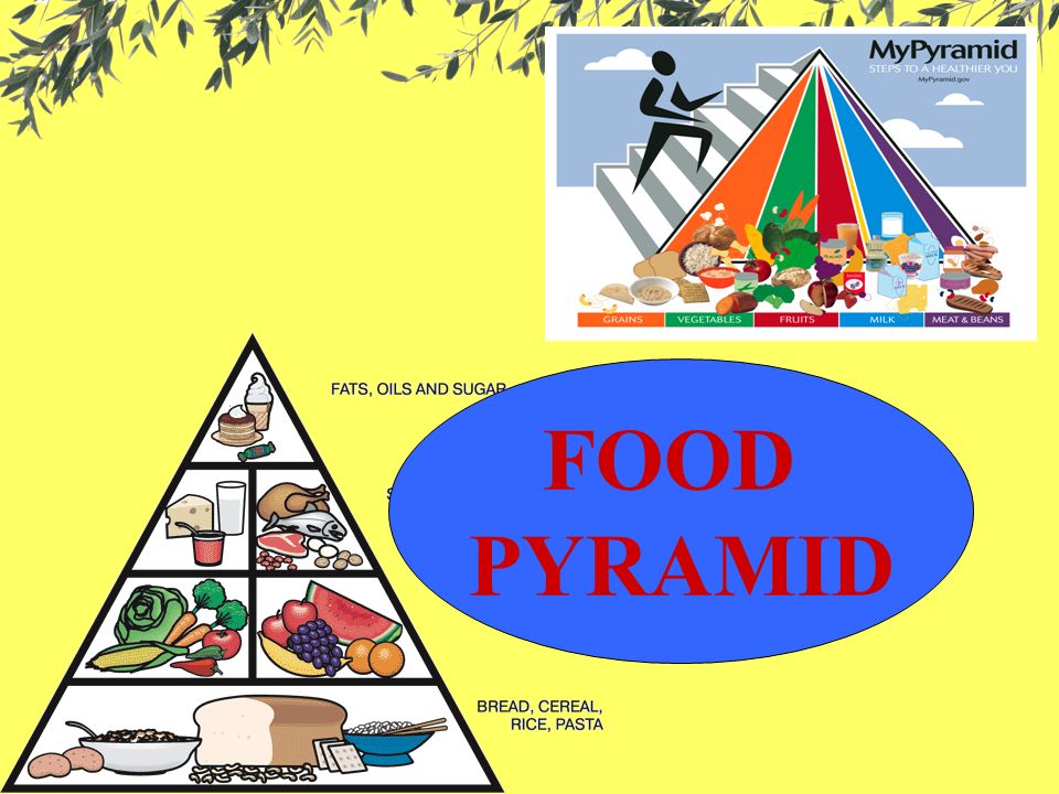 FOOD PYRAMID