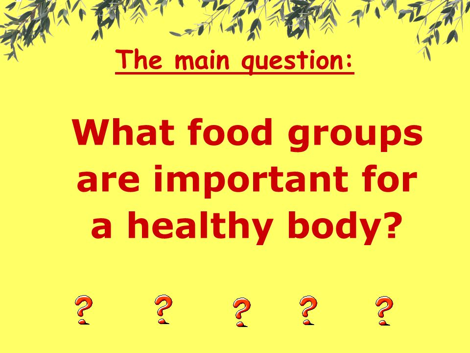 The main question: What food groups are important for a healthy body
