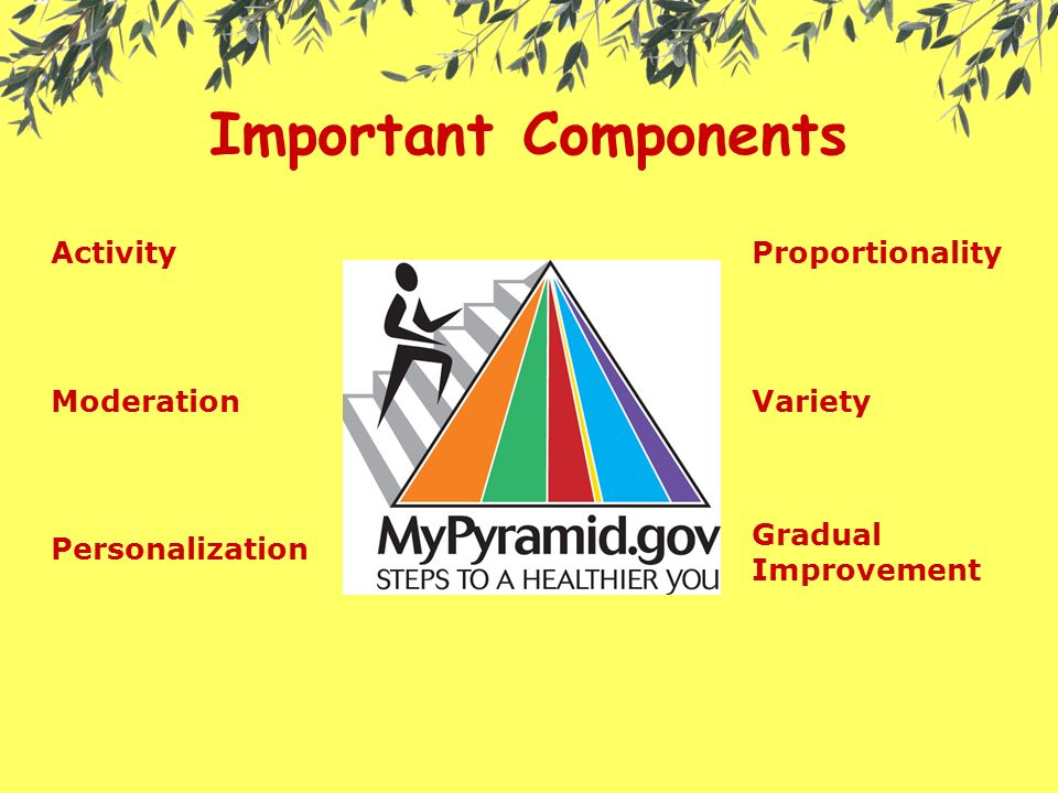 Important Components Activity Moderation Personalization Proportionality Variety Gradual Improvement