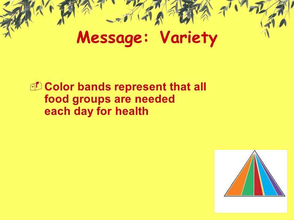 Message: Variety  Color bands represent that all food groups are needed each day for health