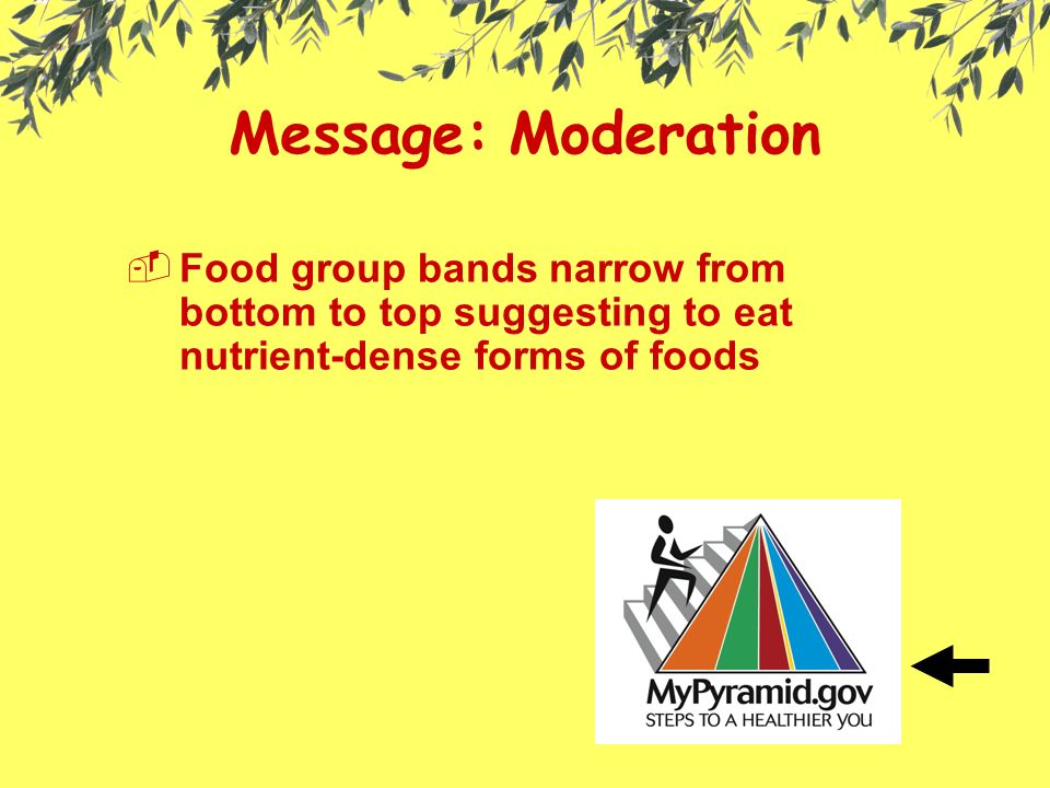 Message: Moderation  Food group bands narrow from bottom to top suggesting to eat nutrient-dense forms of foods