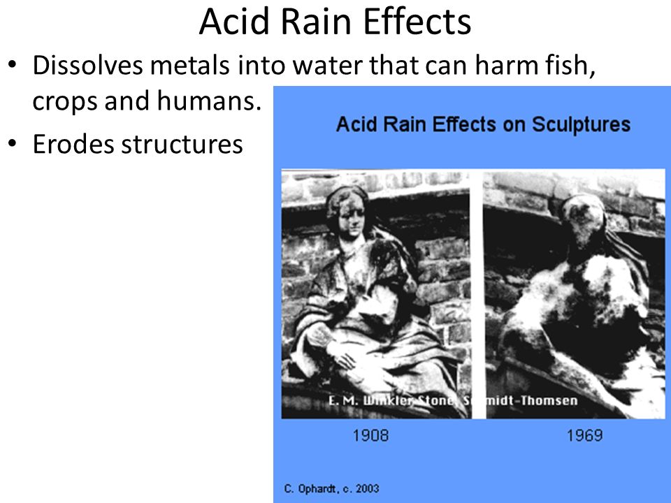 Acid Rain Effects Dissolves metals into water that can harm fish, crops and humans.