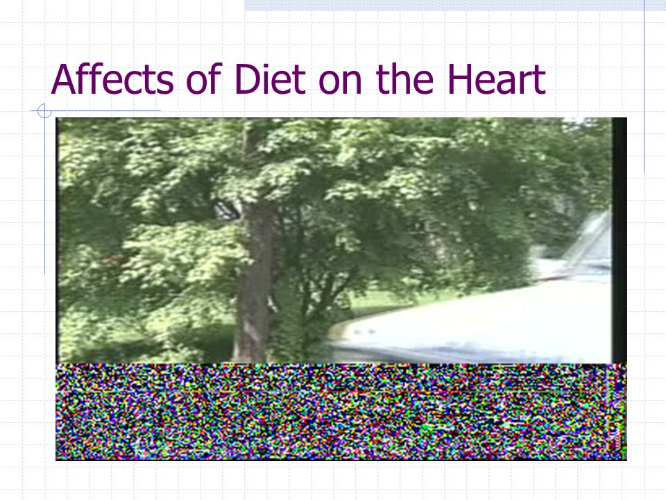 Affects of Exercise on the Heart