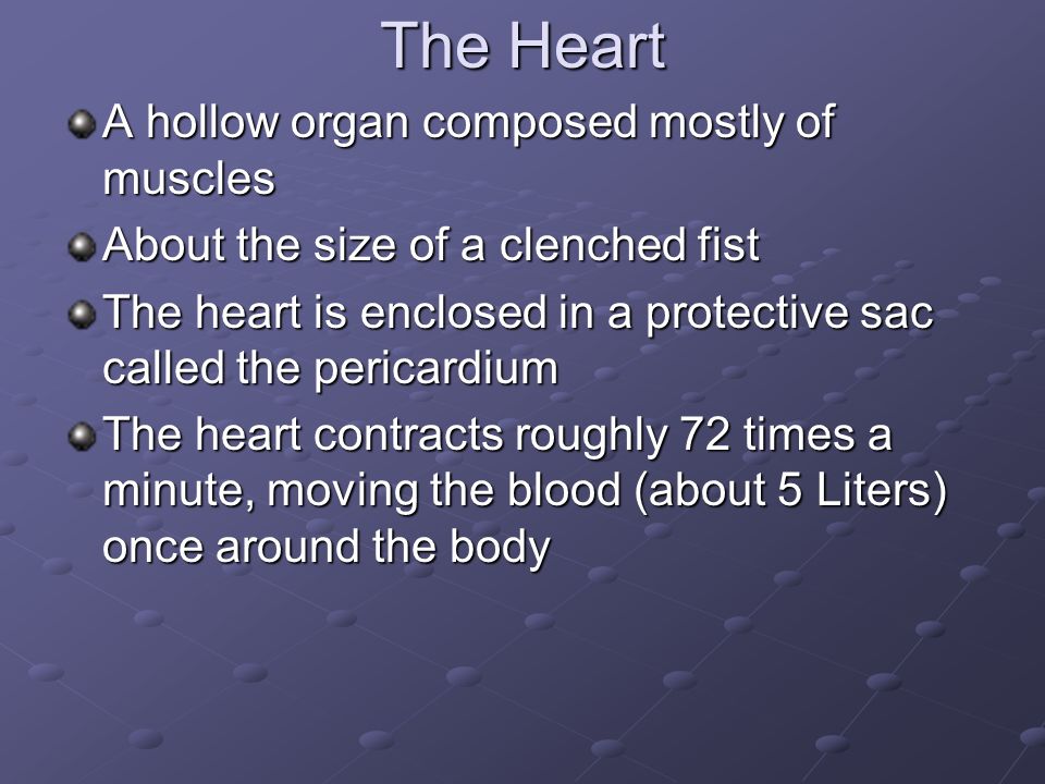 The Heart A hollow organ composed mostly of muscles About the size of a clenched fist The heart is enclosed in a protective sac called the pericardium The heart contracts roughly 72 times a minute, moving the blood (about 5 Liters) once around the body