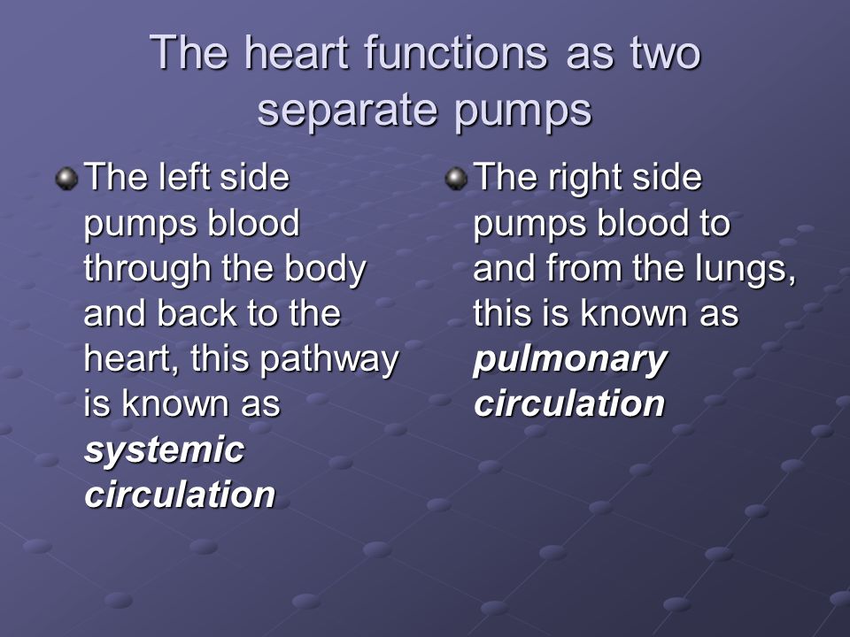 The heart functions as two separate pumps The left side pumps blood through the body and back to the heart, this pathway is known as systemic circulation The right side pumps blood to and from the lungs, this is known as pulmonary circulation