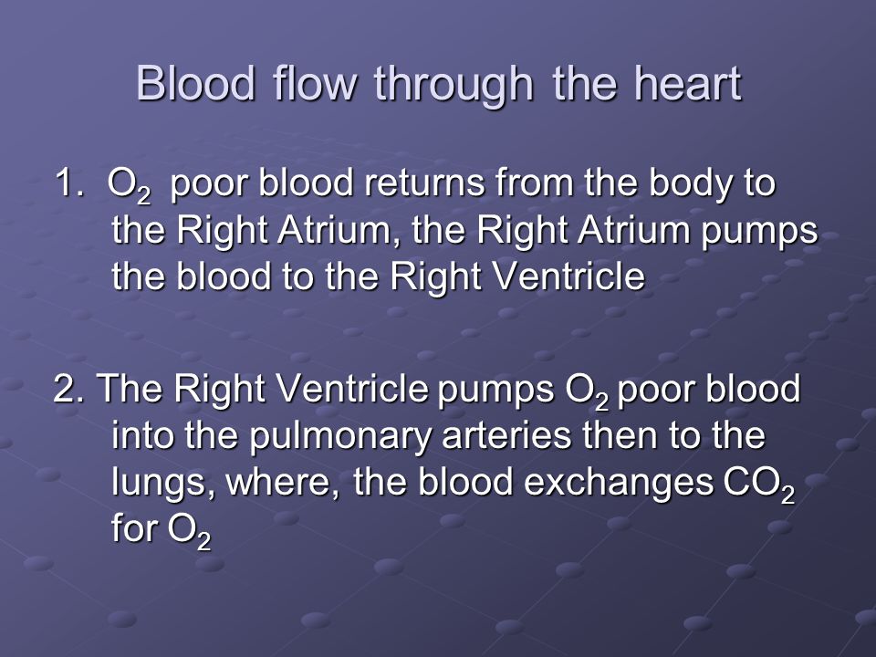 Blood flow through the heart 1.