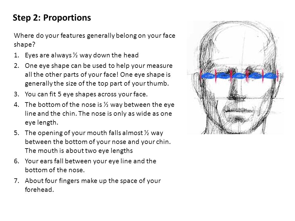Step 2: Proportions Where do your features generally belong on your face shape.