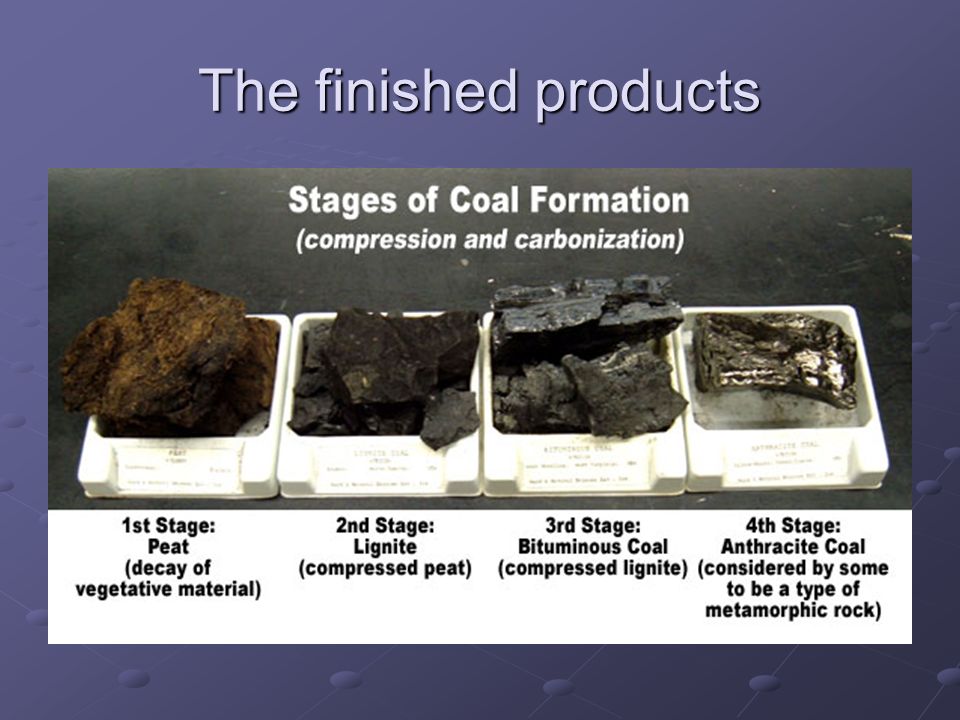 fossil fuels under what type of conditions did coal form millions how did coal form