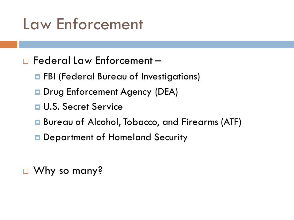 Law Enforcement  Federal Law Enforcement –  FBI (Federal Bureau of Investigations)  Drug Enforcement Agency (DEA)  U.S.
