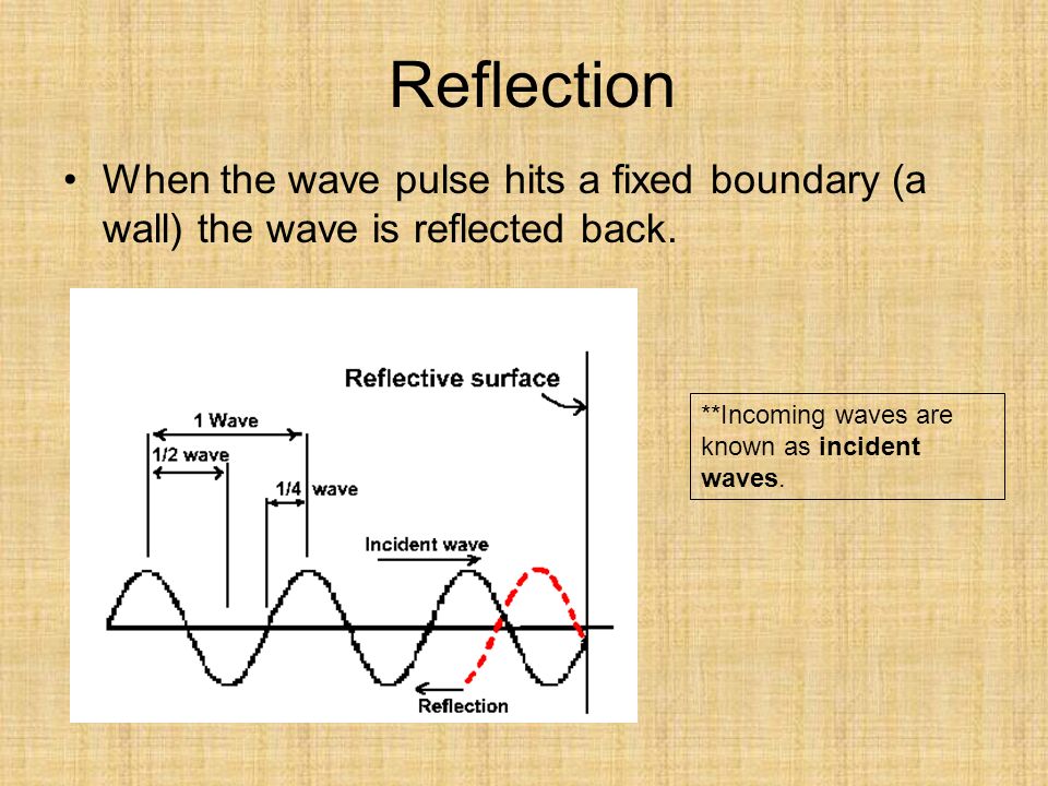 Reflection When the wave pulse hits a fixed boundary (a wall) the wave is reflected back.