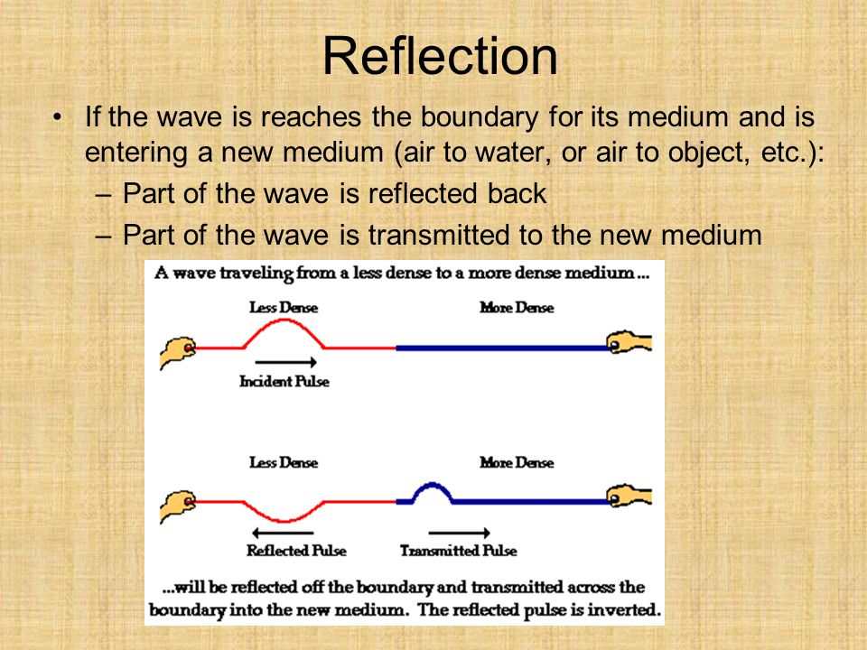 Reflection If the wave is reaches the boundary for its medium and is entering a new medium (air to water, or air to object, etc.): –Part of the wave is reflected back –Part of the wave is transmitted to the new medium
