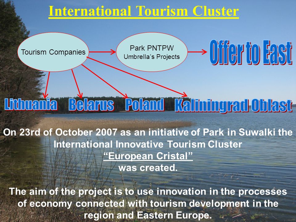 the innovation influence of cluster cooperation the innovation influence of cluster cooperation