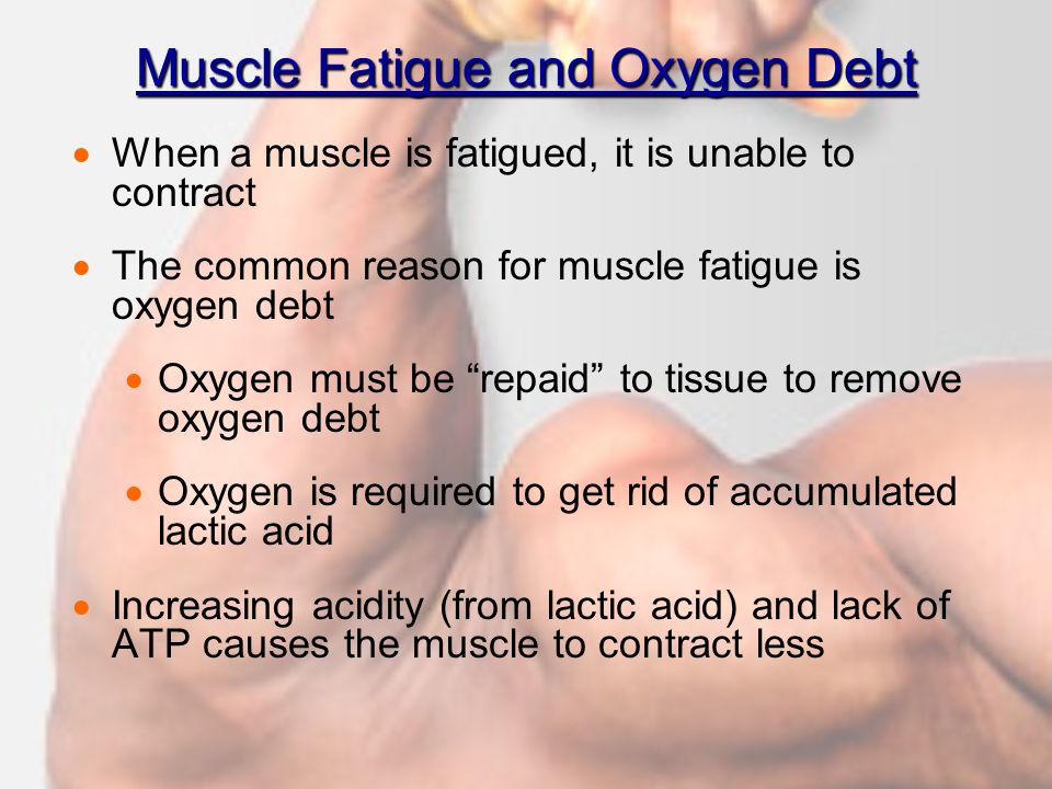 muscle fatigue essay Skeletal muscle pysiology investigating muscle fatigue 1 haven't found the essay you want get your custom essay sample. muscle fatigue essay Skeletal muscle pysiology investigating muscle fatigue 1 haven't found the essay you want get your custom essay sample.