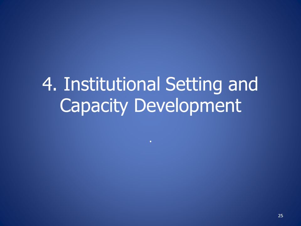 4. Institutional Setting and Capacity Development. 25