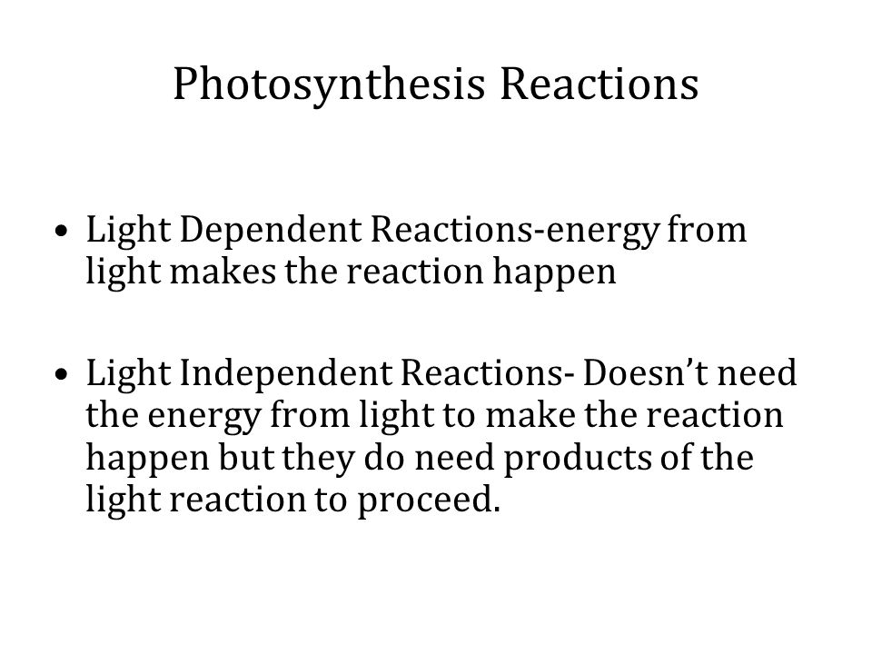 Unit 5 Photosynthesis And Respiration Ppt Download Light Dependent Reactions Energy From Makes The Reaction Happen Independent Doesn T Need To Make