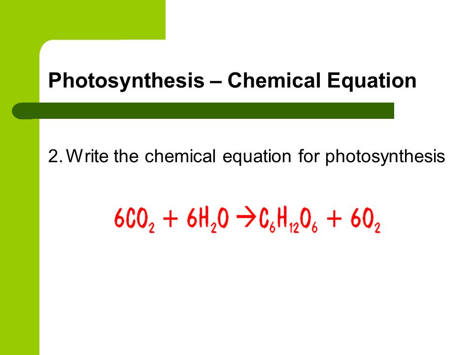 Word Equation For Photosynthesis Photosynthesis And Energy In Nature From Flying Turtle