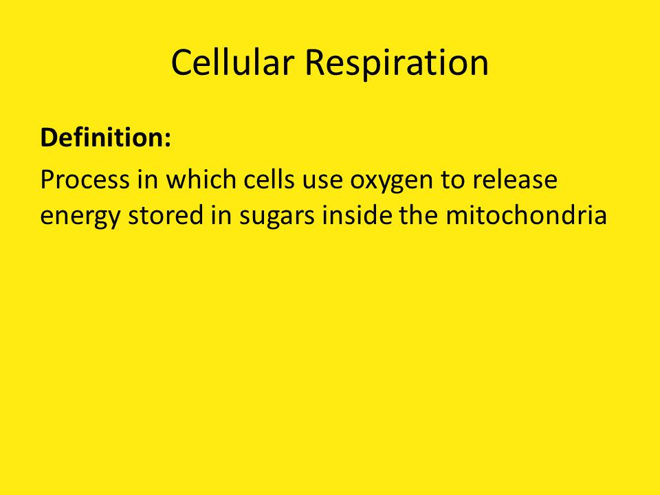 Cellular Respiration Definition: Process in which cells use oxygen to release energy stored in sugars inside the mitochondria