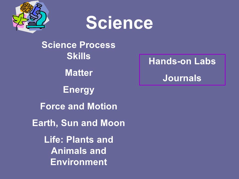Science Science Process Skills Matter Energy Force and Motion Earth, Sun and Moon Life: Plants and Animals and Environment Hands-on Labs Journals
