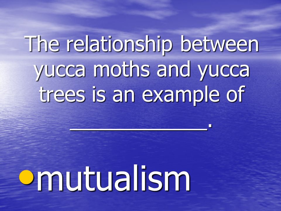 The relationship between yucca moths and yucca trees is an example of ____________.