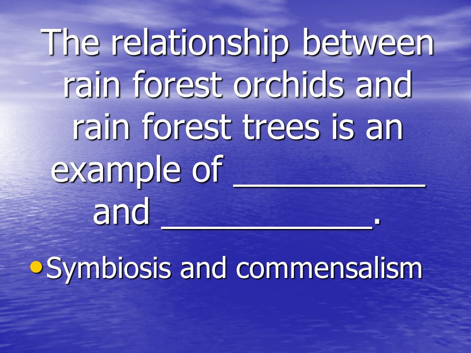 The relationship between rain forest orchids and rain forest trees is an example of __________ and ___________.