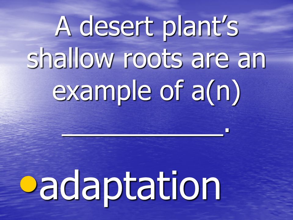 A desert plant’s shallow roots are an example of a(n) ___________. adaptation adaptation