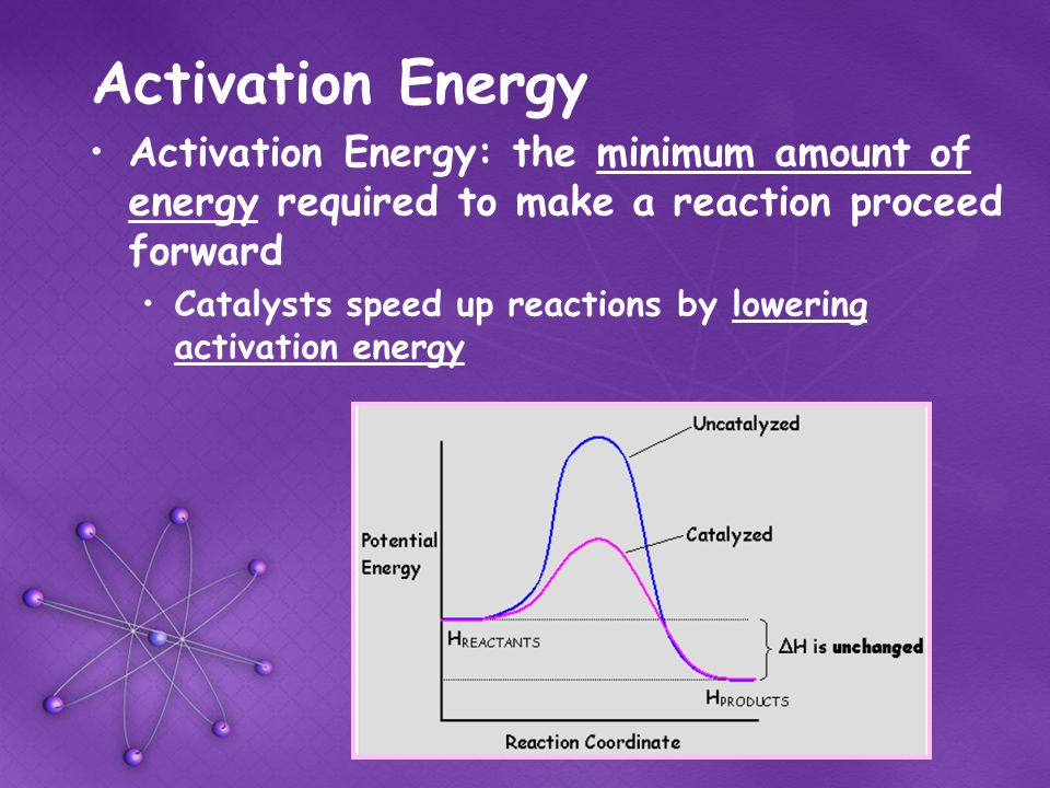 an analysis of the factors that affect the rate of reaction of catalyse an enzyme an analysis of the factors that affect the rate of reaction of catalyse an enzyme
