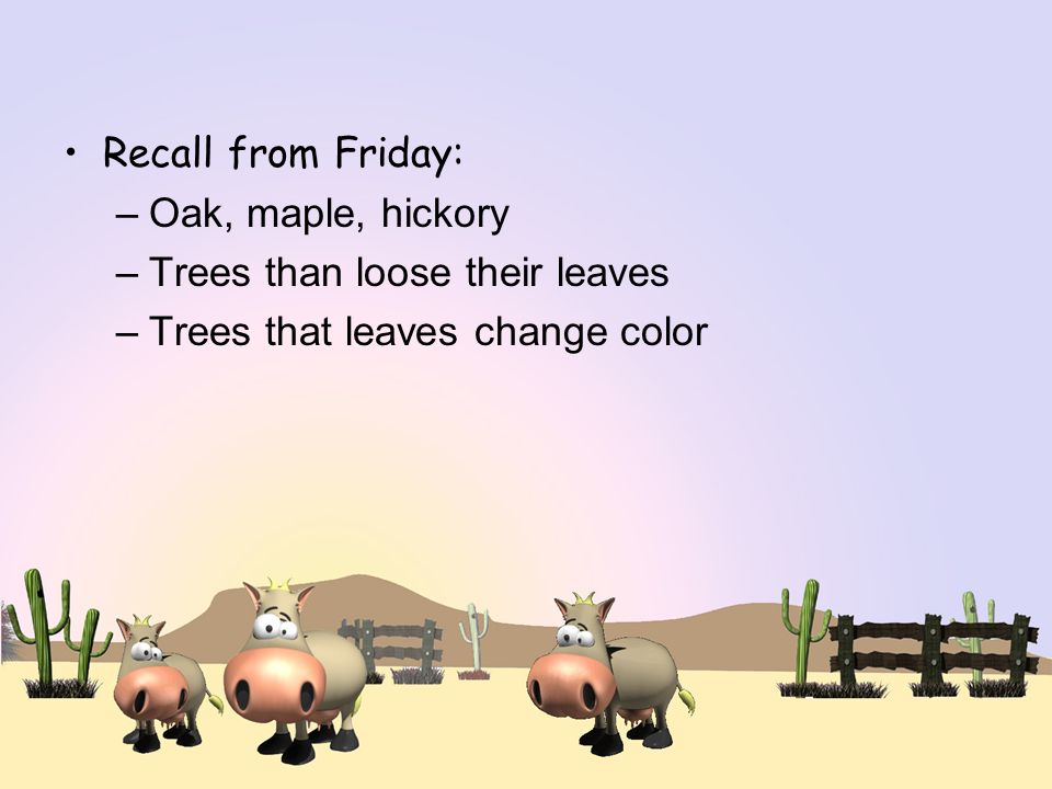 Recall from Friday: –Oak, maple, hickory –Trees than loose their leaves –Trees that leaves change color